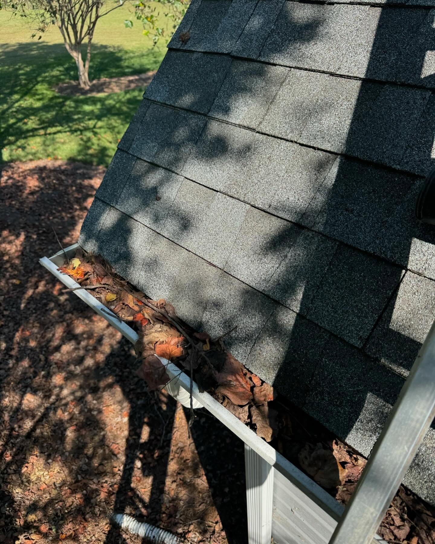Soft wash roof cleaning on asphalt shingles in Lincoln County NC