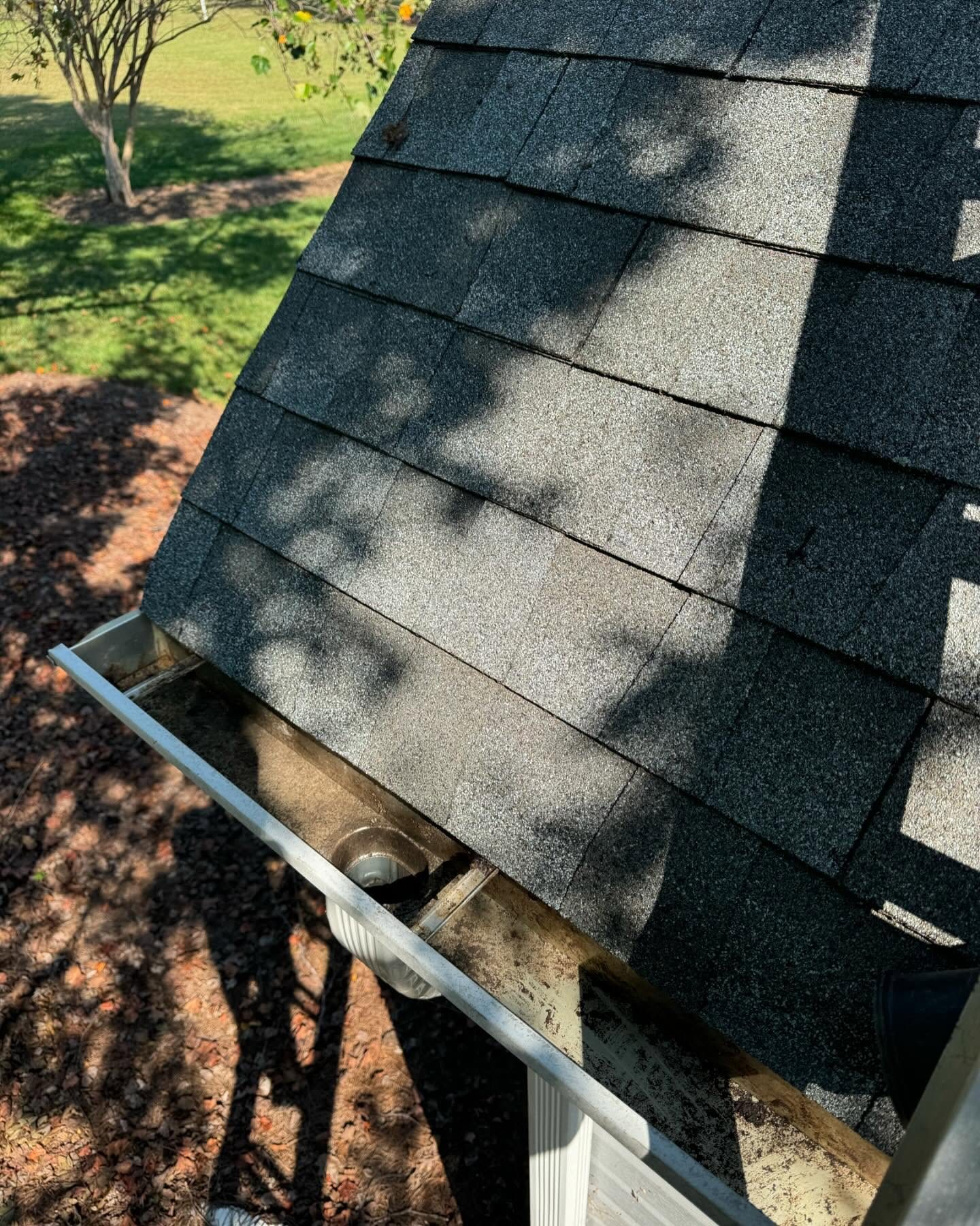 Shingle roof cleaned without high pressure in Lincolnton NC
