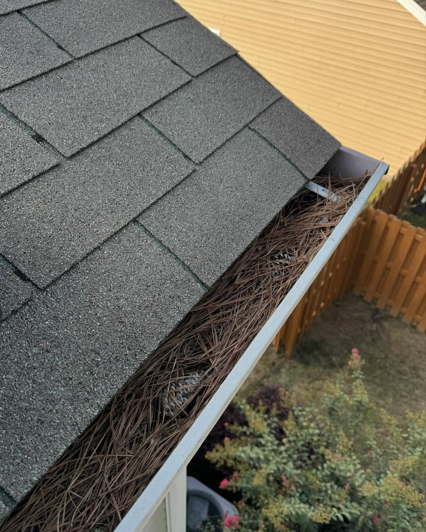 Gutter and roofline cleaning in Lincolnton NC